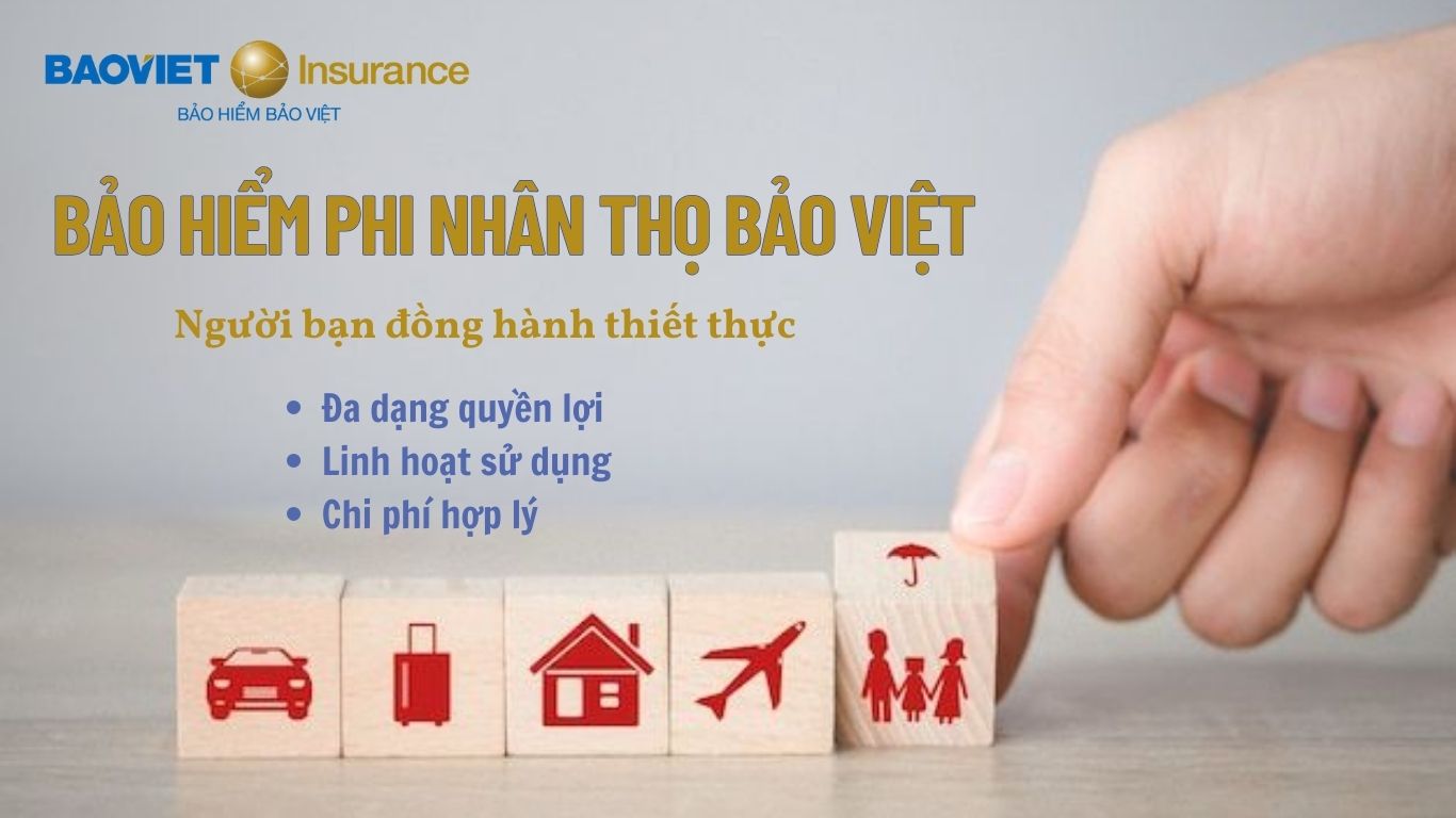 bao-viet-da-nang