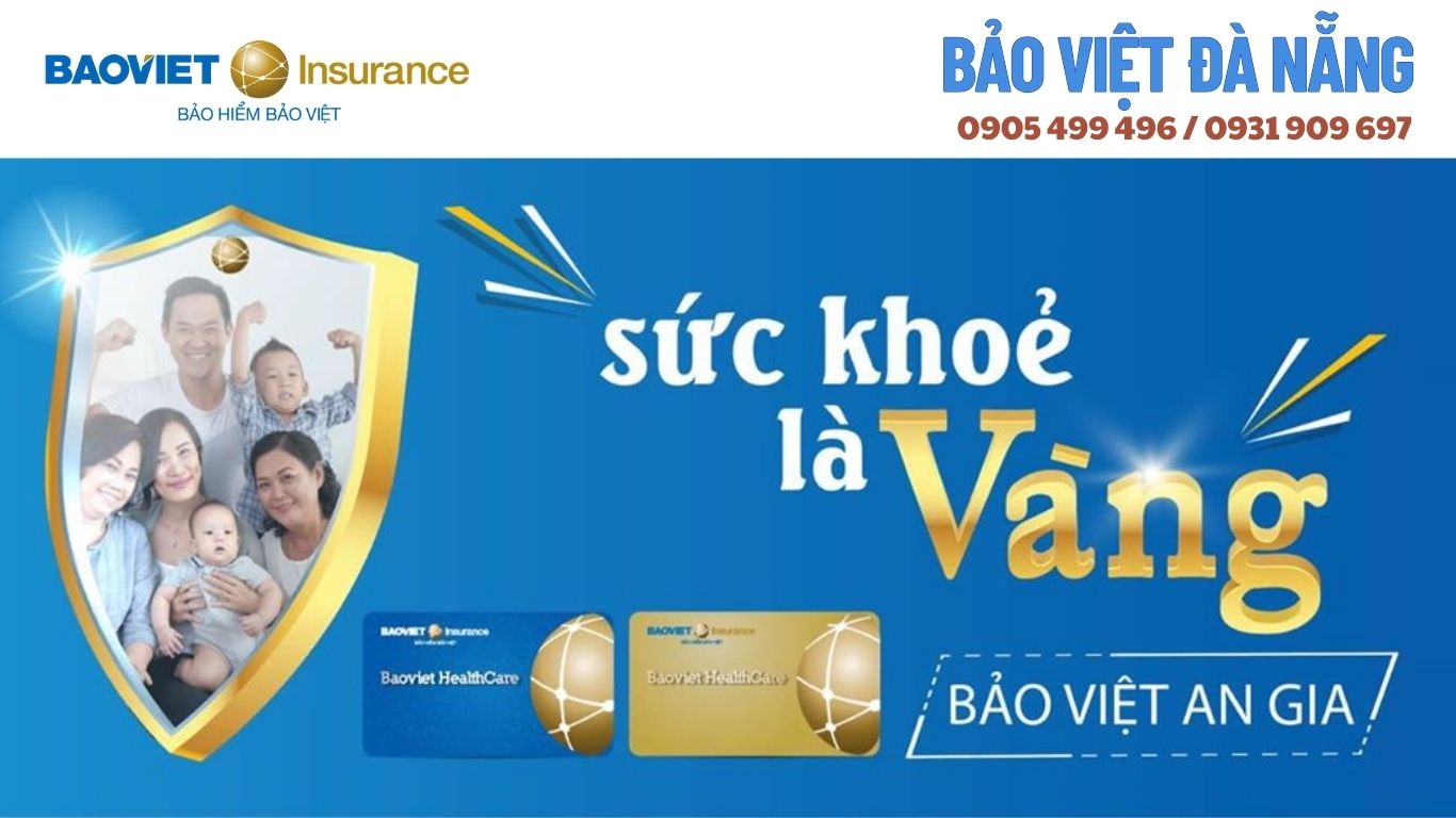 bao-viet-da-nang